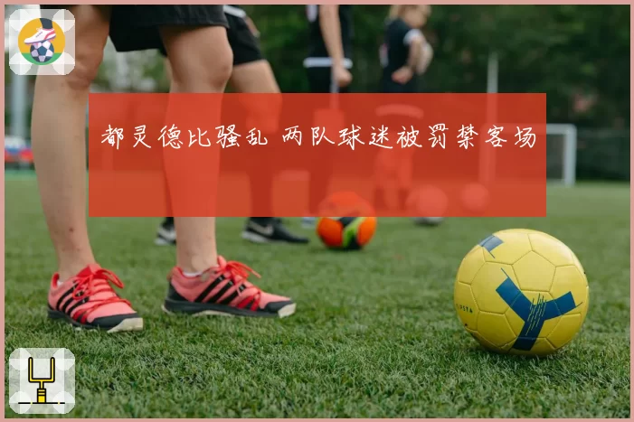 都灵德比骚乱 两队球迷被罚禁客场