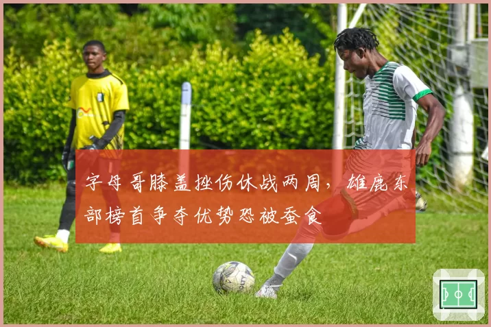 字母哥膝盖挫伤休战两周，雄鹿东部榜首争夺优势恐被蚕食